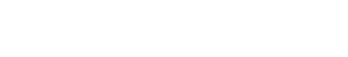 Naas Nissan Logo